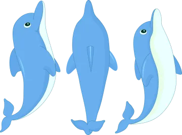 how to draw a dolphin