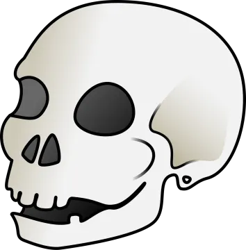 a white skull with black eyes