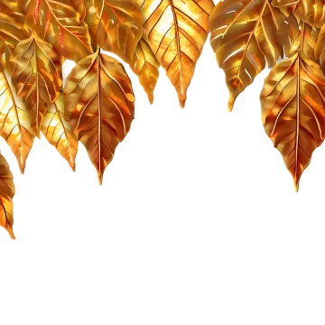 golden leaves on a white background