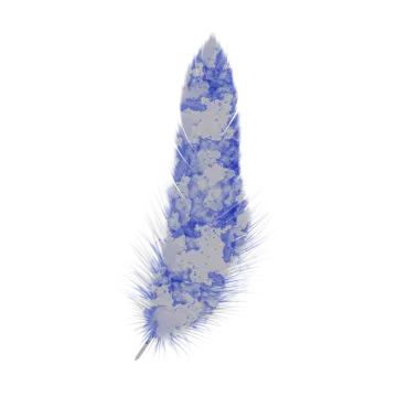a blue feather on a white background