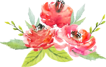 a watercolor painting of red flowers