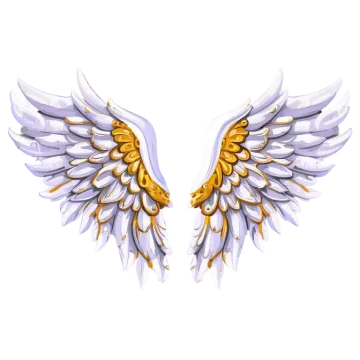 a pair of white and gold wings