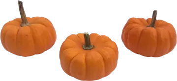 three small orange pumpkins on a white background