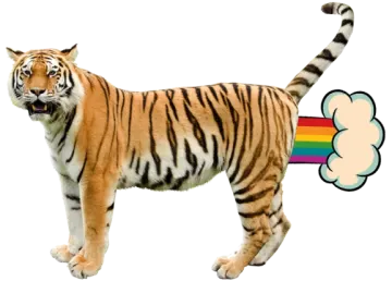 a tiger standing in front of a rainbow flag