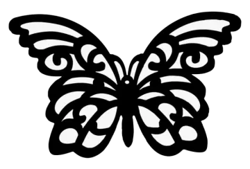 a black and white butterfly