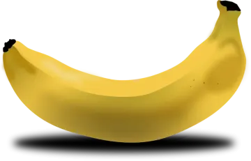 the banana is yellow