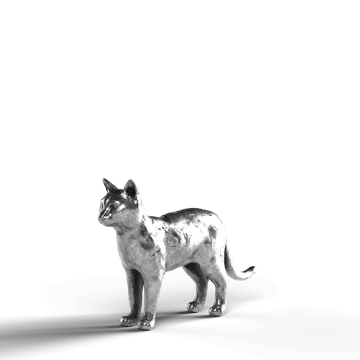 a cat standing on top of a white surface