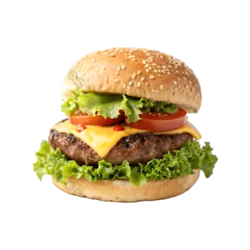 a hamburger on a white background