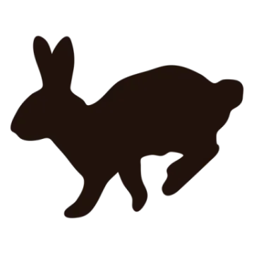 a silhouette of a rabbit