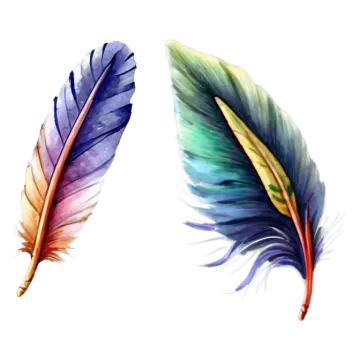 two colorful feathers on a white background