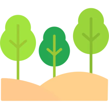 three trees in the middle of a hill