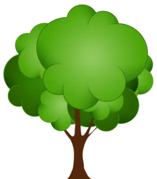 a tree with green leaves on it