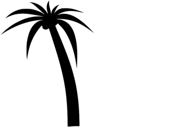 a black and white silhouette of a palm tree
