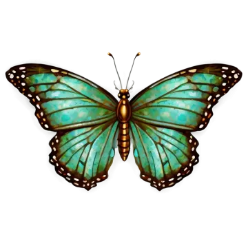 a green butterfly on a white background