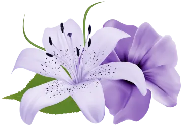 a white and purple flower with green leaves