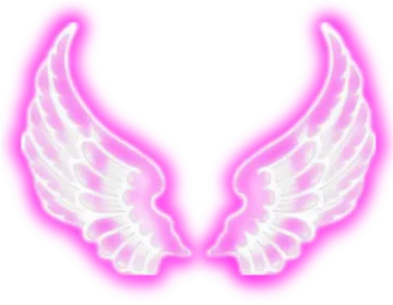 a pair of angel wings on a white background