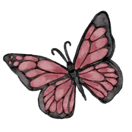 a pink butterfly on a white background