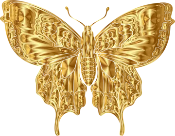 a golden butterfly on white background