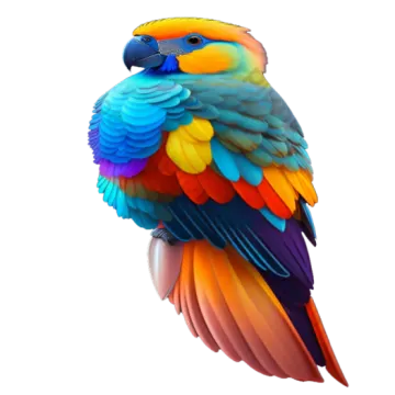 a colorful bird sitting on top of a white background