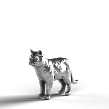 a black and white cat on a white background