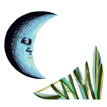 a drawing of the moon and grass
