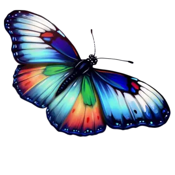 a colorful butterfly on a white background