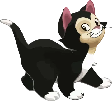 a black and white cat sitting on the ground