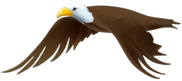 an eagle flying with its wings spread