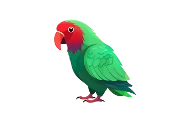 a green parrot on a white background