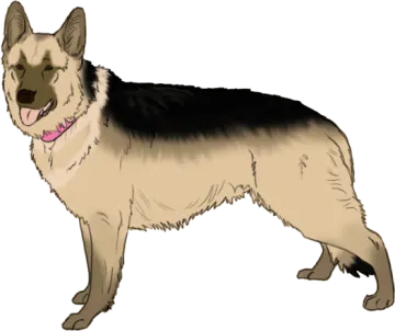 a drawing of a german shepherd dog