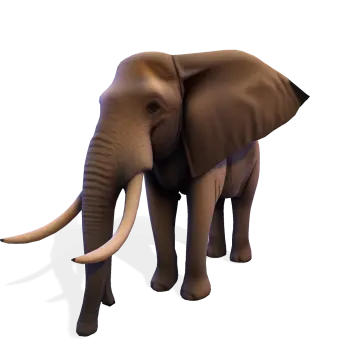 an elephant is standing on a white surface
