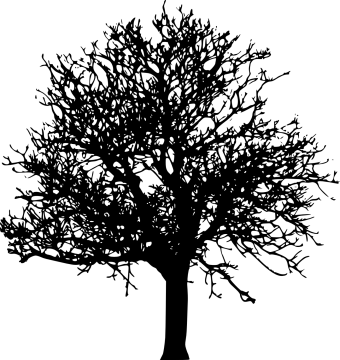 a black and white silhouette of a tree