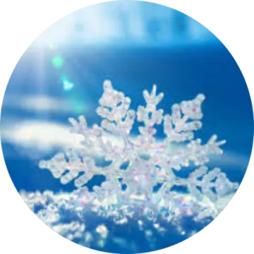 an image of a snowflorer