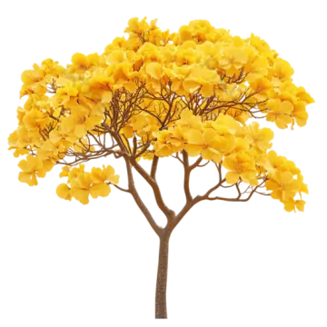 a small tree with yellow flowers on it