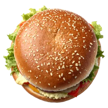 the bun of a hamburger