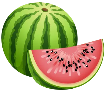 a watermelon cut in half