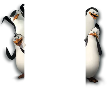 two penguins standing next to each other penguins