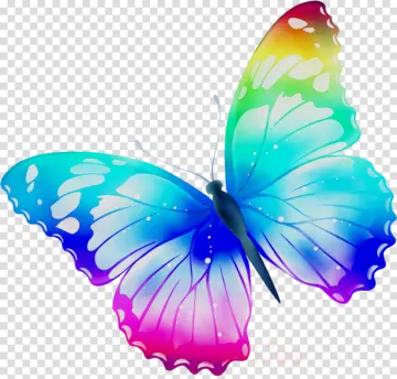 a colorful butterfly on a transparent background