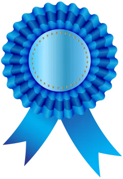 a blue rosette with stars on it