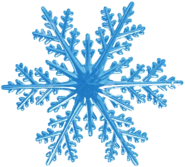 an image of a snowflorer