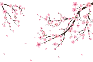 a branch with pink flowers on it