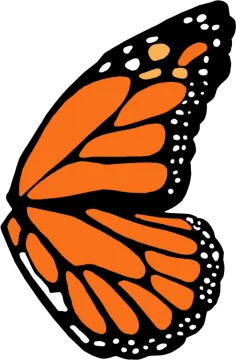 a monarch butterfly clipart
