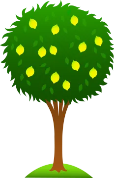 a tree with lemons on it