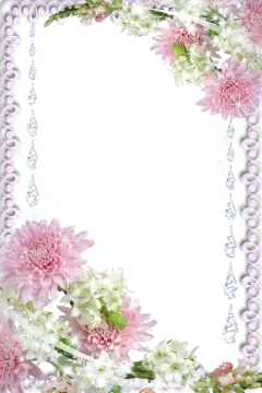 a frame with pink and white flowers