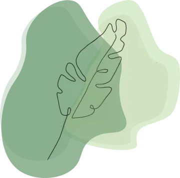 a drawing of a leaf on a white background