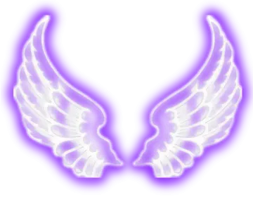a pair of angel wings on a white background