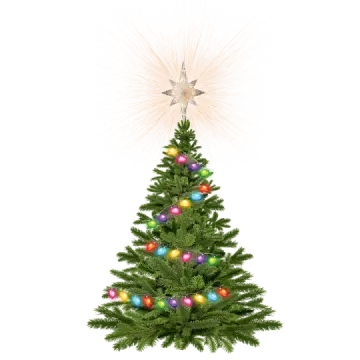 a christmas tree with colorful ornaments and a star