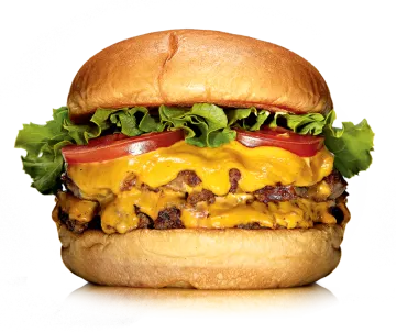 cheese on a bun