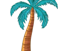 a palm tree on a white background