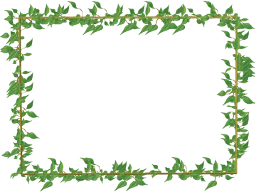a square frame with green leaves